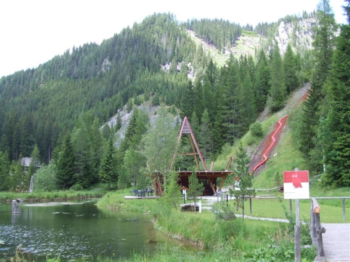 Chalet In Hohentauern With In House Wellness Екстер'єр фото