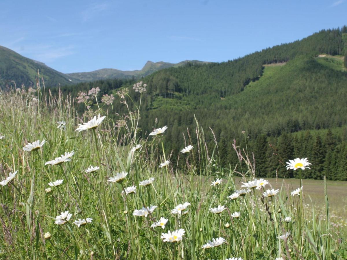 Chalet In Hohentauern With In House Wellness Екстер'єр фото